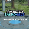 Búsqueda Saludable