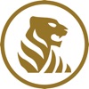 O Tigre Plus