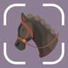 Horse Identifier: AI Scanner