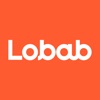 Lobab: Book Summaries, Library