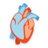 Cardiology Quiz & Prometric