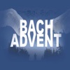 Bach-Advent 2024