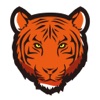 TIGERSECU HD VIEWER