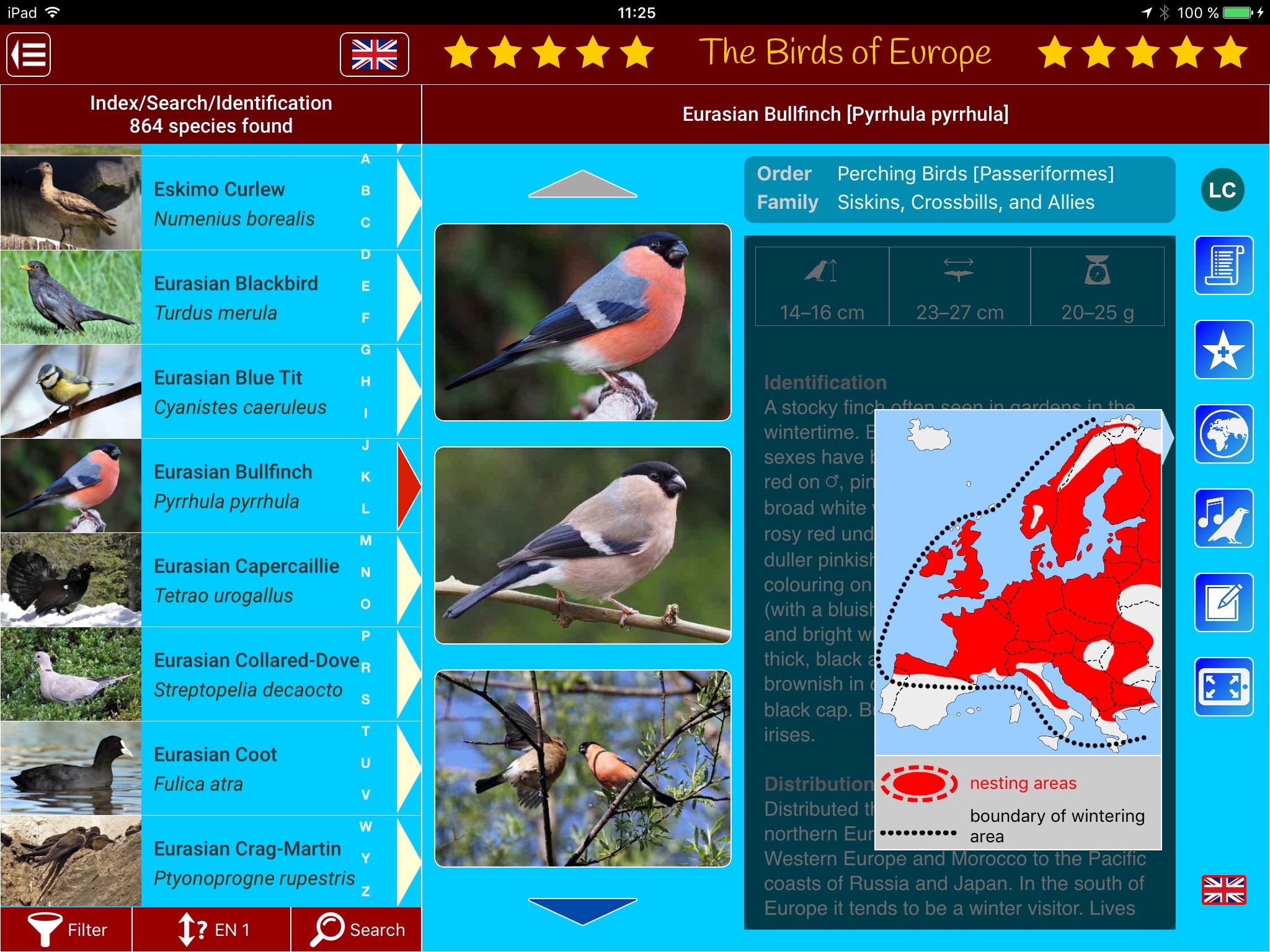 Birds of Europe screenshot 2