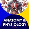 Anatomy & Physiology 22 topics