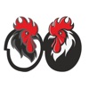 Chicken Boom 38