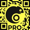 Open2pay pro