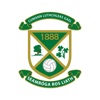 Roslea Shamrocks GAA