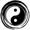 AcuRhythm Acupuncture Pro