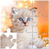 Jigsaw Puzzle Mind Games