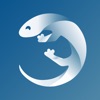 Lizard - Easily Learn Language