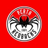 Perth Redbacks