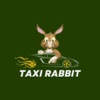 Taxi Rabbit Conductor