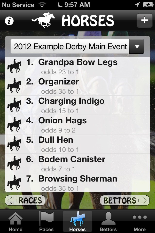 DerbyPartyPhone Light screenshot 2