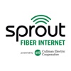 Sprout Fiber Internet