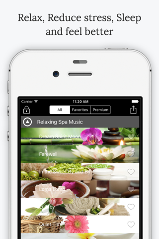 Relaxing Spa Music Pro screenshot 2