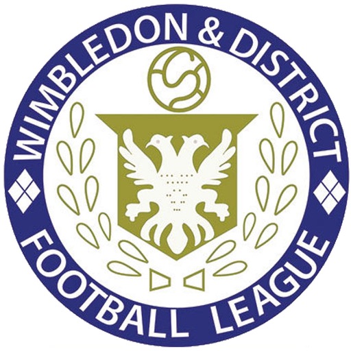 Wimbledon & District Football League