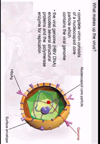 AnswersIn Hepatitis B screenshot 3