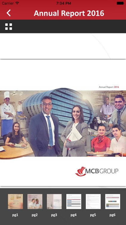 MCB Annual Report 2016