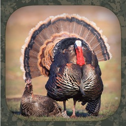 Turkey Hunting Calls Apple Watch App