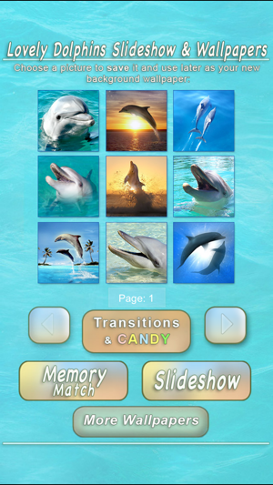 Lovely Dolphins Slideshow & Wallpapers(圖4)-速報App