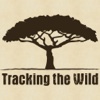 Tracking the Wild