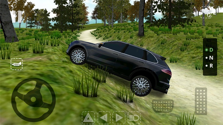 Offroad Cayenne