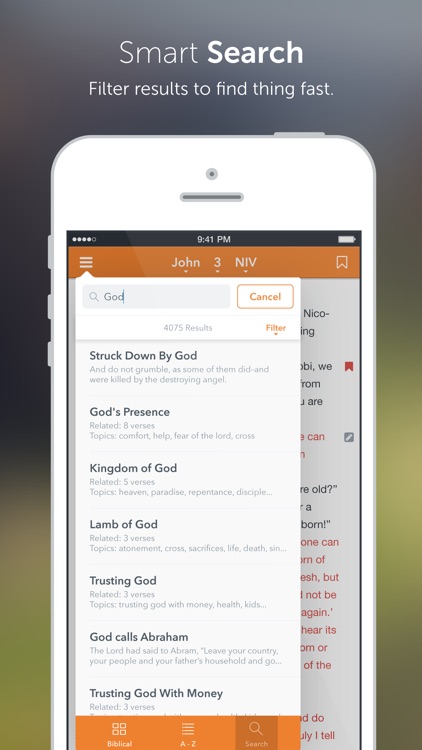 Amplified Bible
