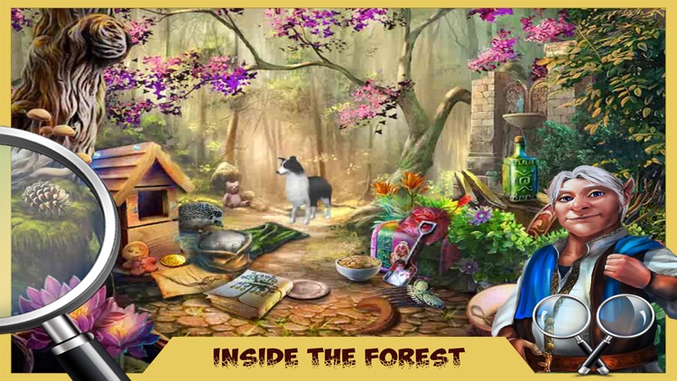 The Enchanted Forest - Adventure Of Forest