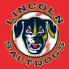 Lincoln Saltdogs