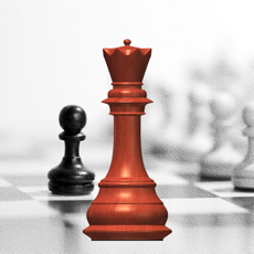 Activities of Chess Studies