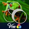 Venn Frogs: Overlapping Jigsaw Puzzles