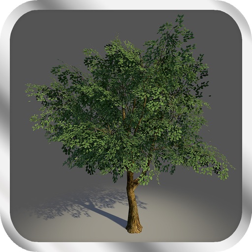 Mega Game - Woodcutter Simulator 2013 Version iOS App