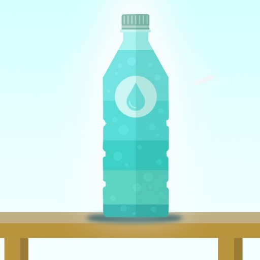The Bottle Water Flip Jumping 2016 Pro icon