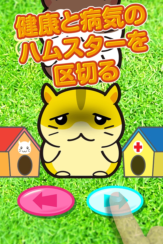 Littlest Smart Hamster Pet Shop - Cage For My Friendly Pets screenshot 3