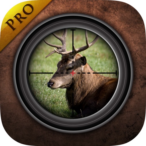 Virtual Hunting : Stag iOS App