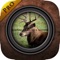 Virtual Hunting : Stag