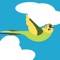 Fly Budgie