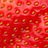 Fruit Wallpapers