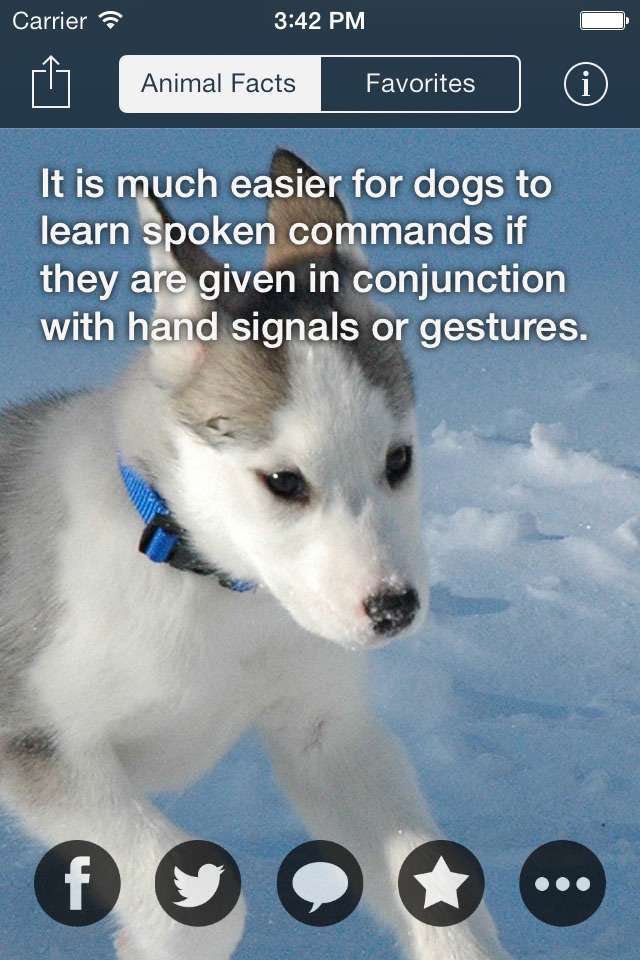 Animal Facts -  Cool Fun Fact for Kids Discovery screenshot 3