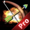 A Revenge Of Arrow And Bow Pro - Best Cup Archery