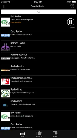 Game screenshot Bosnian Radio apk