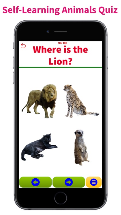 Animals & Animal Sounds Kids Toddlers Zoo App