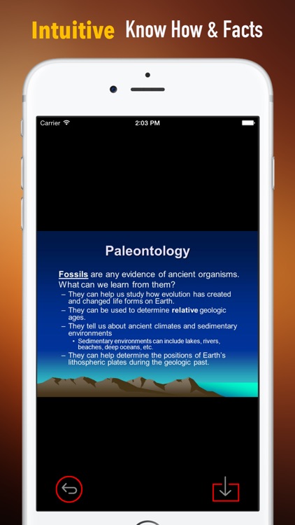 Paleontology Glossary: Cheatsheet with Study Guide