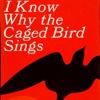 I Know Why the Caged Bird Sings: Practical Guide Cards with Key Insights and Daily Inspiration
