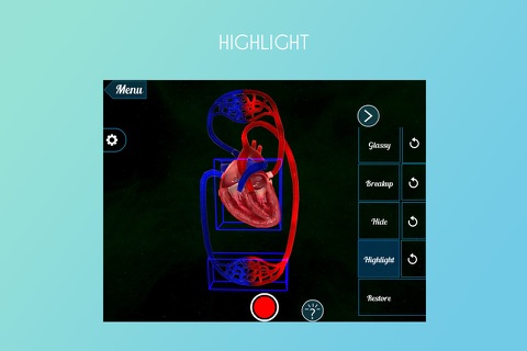 Blood Circulation 3D screenshot 3