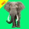 **Welcome to this funny app
