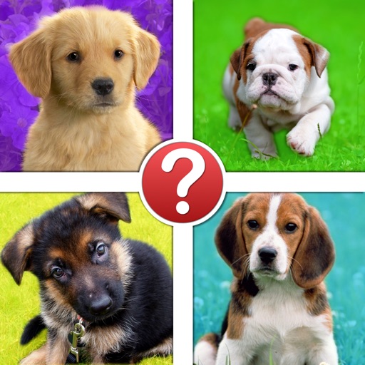 Puppies Pic Quiz - Dog Breeds by Puppy Icon