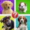 Puppies Pic Quiz - Dog Breeds by Puppy