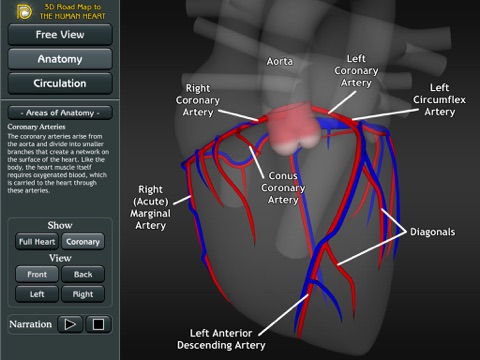 3D Road Map to the Human Heart screenshot 3